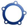nuclear grade gasket