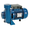 pumps - nuclear grade